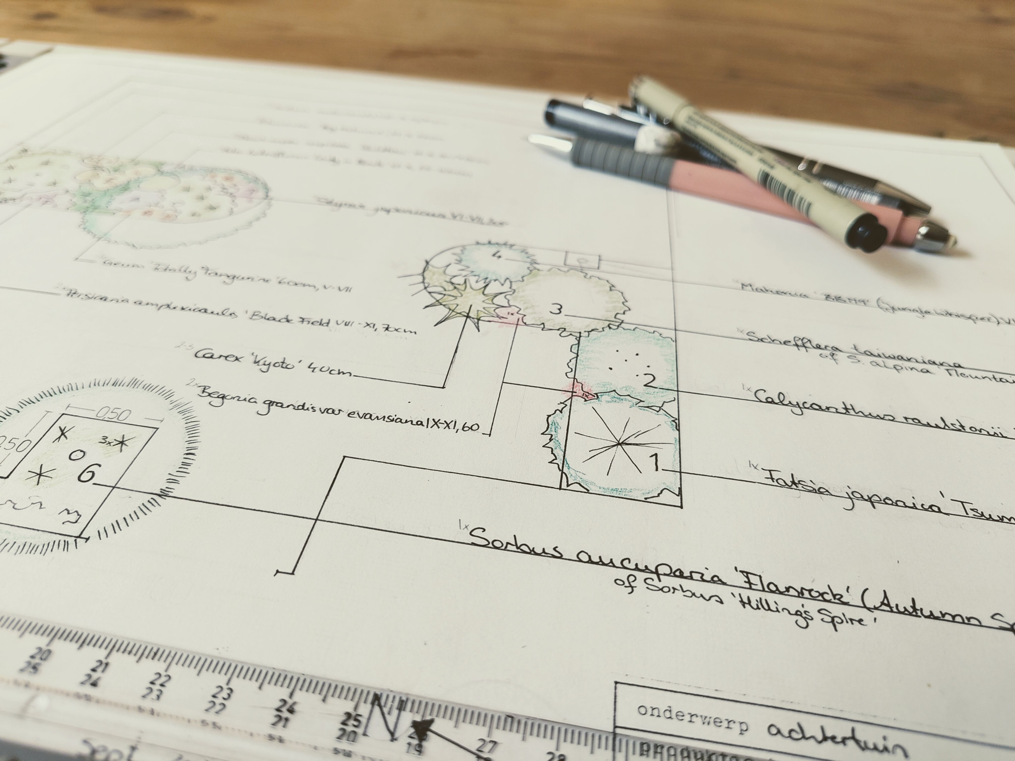 Tuinontwerp beplantingsplan