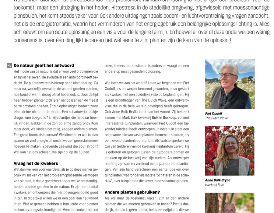 CG. CONCEPT annual 2024