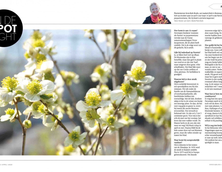 Groei en Bloei april 2020
