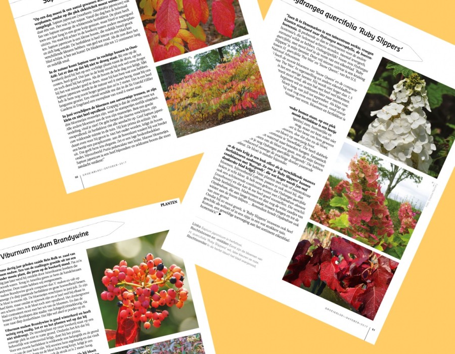Groei en Bloei oktober 2017 - herfstkleur