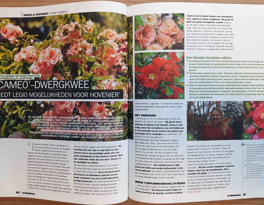 Hoveniersvak maart 2019