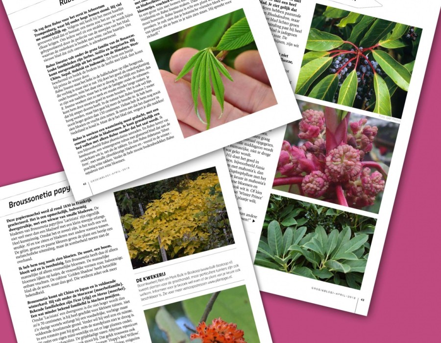Groei en Bloei april 2018 - blad