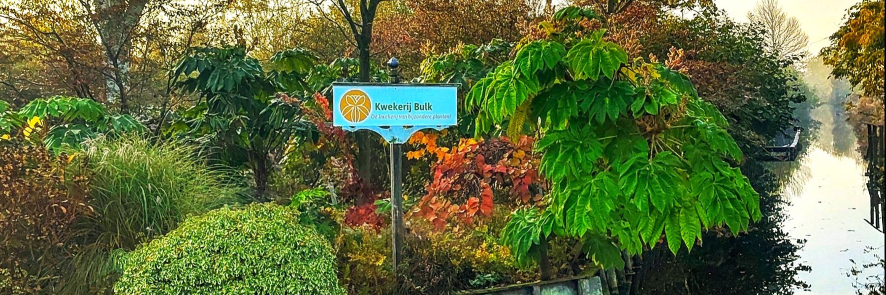 Entree kwekerij Bulk