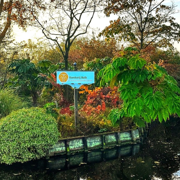 Beplanting in 2025 (12 jaar na realisatie)