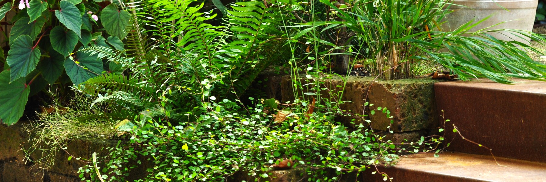 Kleine tuin, grote beleving