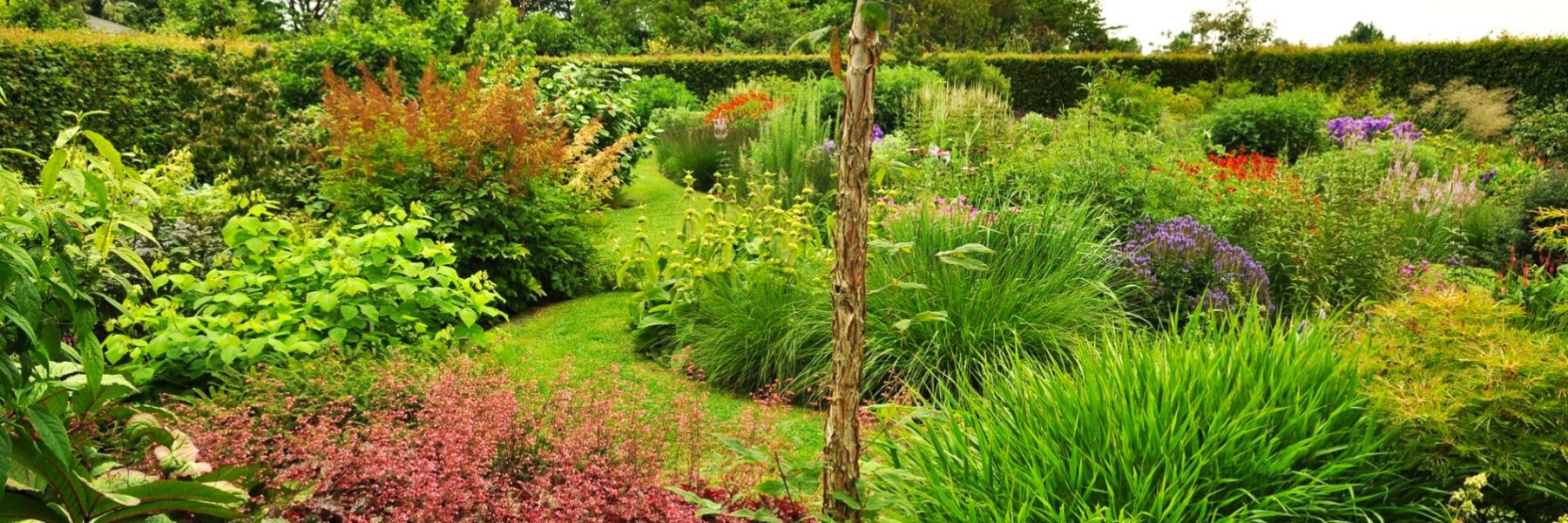Piet Oudolf tuin