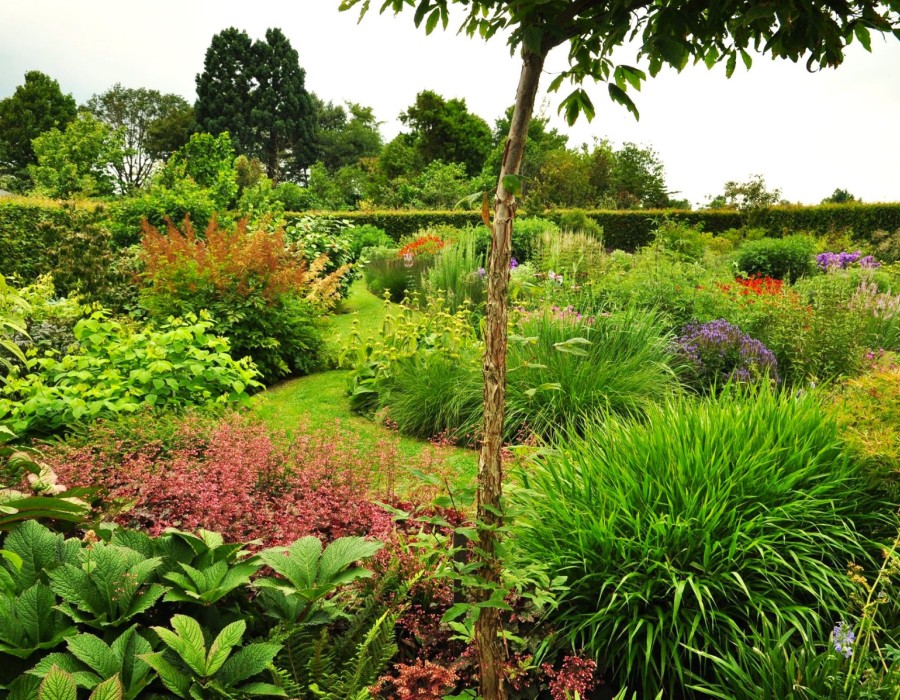 Piet Oudolf tuin