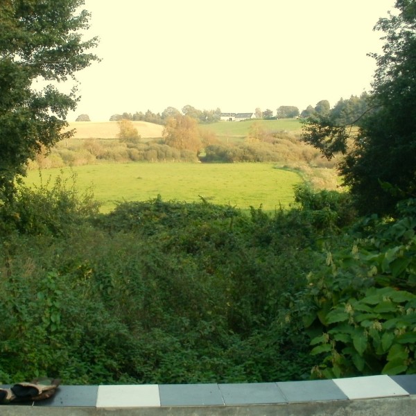 Overgroeide tuin vooraf